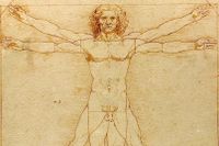 ”Den vitruvianske mannen”, teckning av Leonardo da Vinci, som liksom Aristoteles hade ett stort intresse för anatomi. 