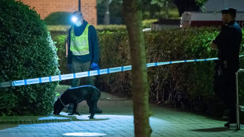 Polisens hundförare söker spår efter att en person hittats skottskadad på Docentgatan i Malmö för knappt tre veckor sedan.
