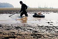 En fiskare vittjar sina nät i en uttorkad sjö i Kina. Antalet fiskar och fåglar vid sjön har minskat dramatiskt.	Foto: China Photos/Getty Images