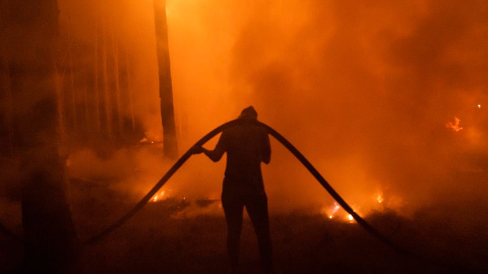 Den stora skogsbranden i Argentina har ödelagt enorma landområden.