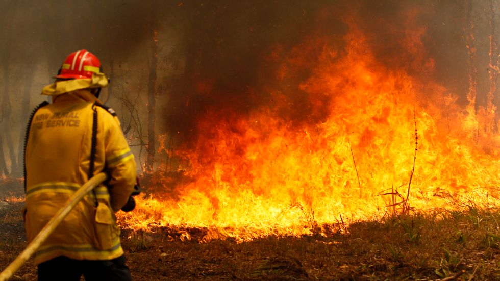 Australiens bränder har hamnat i världens fokus.