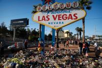 Det har snart gått två veckor sedan masskjutningen i Las Vegas. Polisen vet fortfarande inte vad som drev skytten Stephen Paddock.