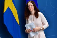 Jämställdhetsminister Åsa Lindhagen (MP) föreslår att ett institut för att följa mänskliga rättigheter och hur de följs i Sverige ska inrättas. Arkivbild.