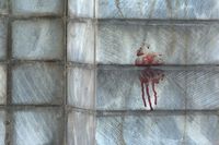 Blodspår efter IS terrordåd vid parlamentet i Teheran den 7 juni.