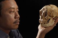 Thomas Sutikna vid Jakartas arkeologiska centrum med ett Homo floresiensis-kranium som påträffades i Indonesien 2003.