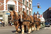 Danskt hygge? En hästvagn från Carlsberg far fram längs Köpenhamns gator.