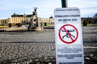 En person greps på söndagen misstänkt för brott mot skyddslagen vid Drottningholms slott utanför Stockholm. 